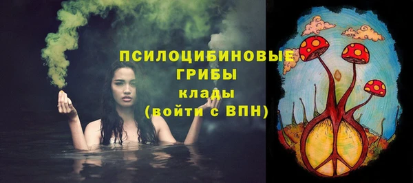 шишки Абаза