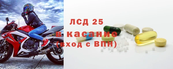 шишки Абаза