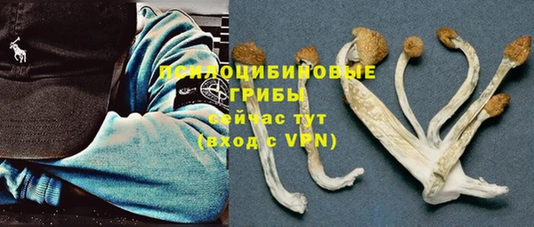 гидропоника Осташков