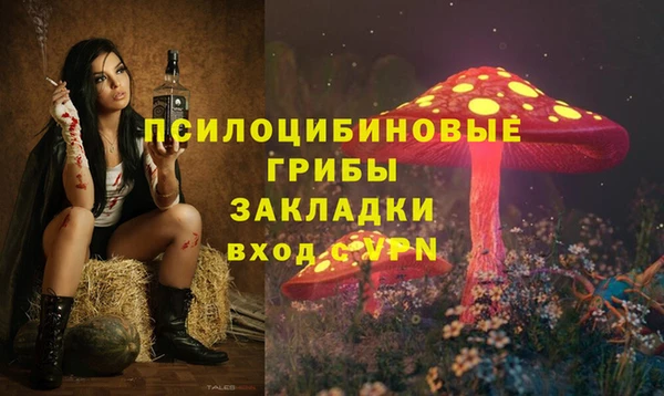 шишки Абаза